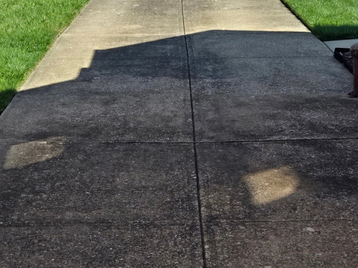 Roughly 70-year-old residential concrete driveway with dark organic buildup before cleaning