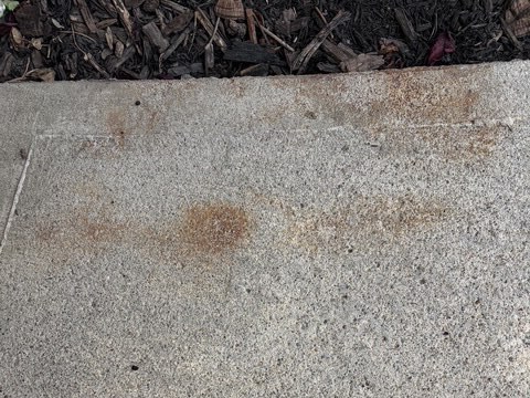 Orange rust stains on concrete beside a mulched landscape bed before targeted treatment