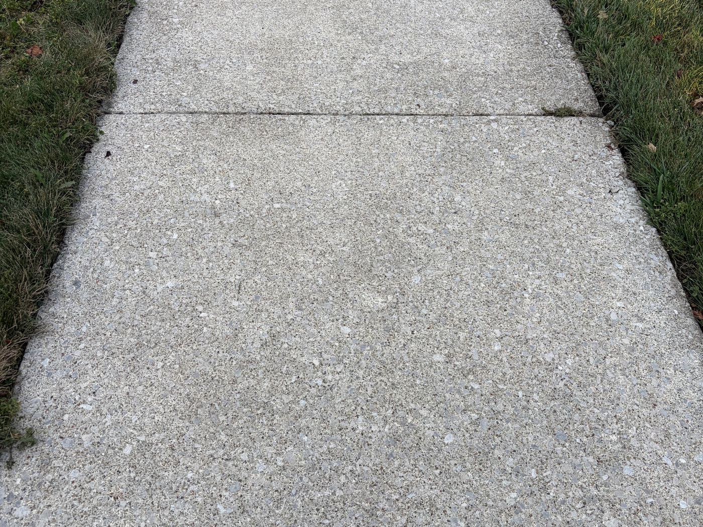 The same concrete walkway after cleaning with a visibly brighter surface