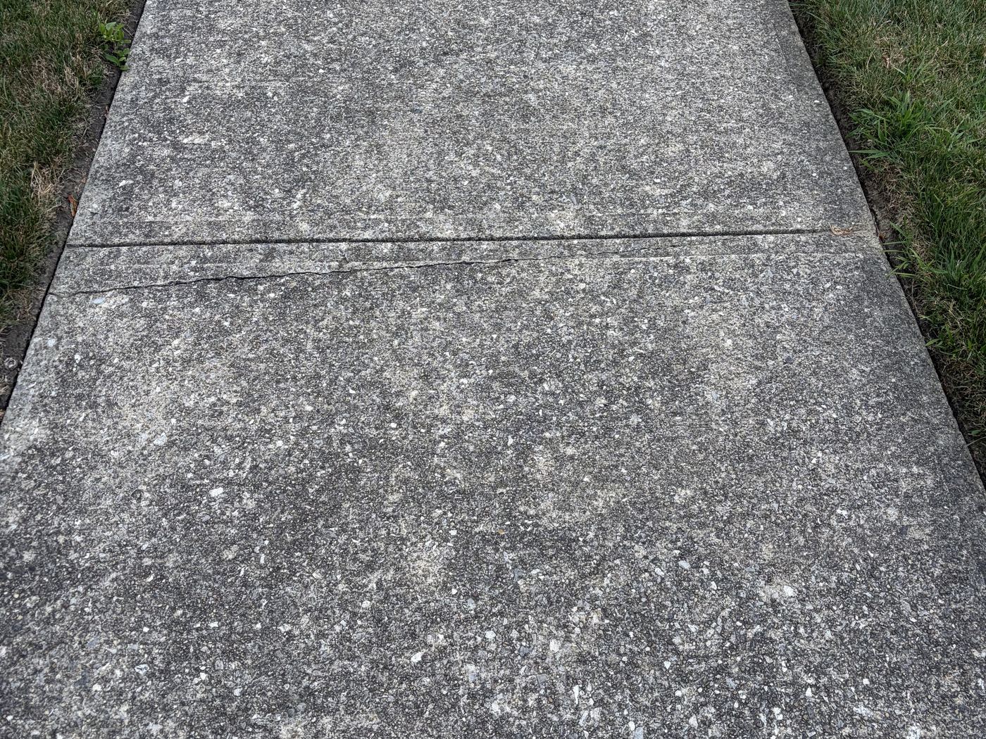 Concrete walkway before cleaning with dark surface buildup